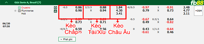 Fb88 bảng kèo trận đấu Cruzeiro vs Fluminense