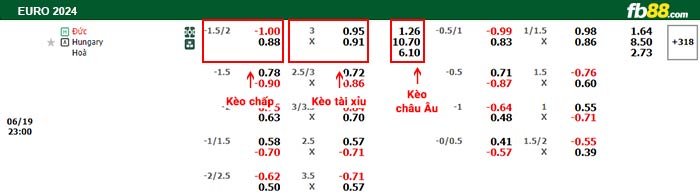 fb88-bảng kèo trận đấu Đức vs Hungary