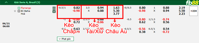 Fb88 bảng kèo trận đấu Flamengo vs Bahia