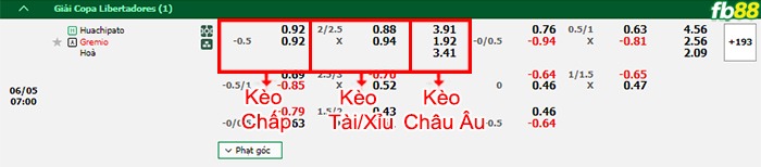 Fb88 bảng kèo trận đấu Huachipato vs Gremio