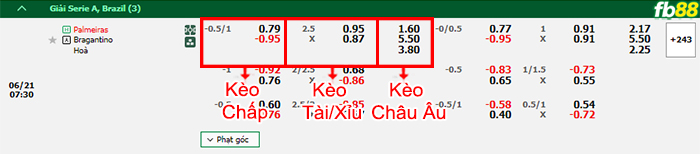 Fb88 tỷ lệ kèo trận đấu Flamengo vs Bahia