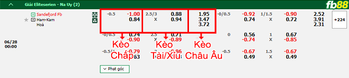 Fb88 bảng kèo trận đấu Sandefjord vs HamKam