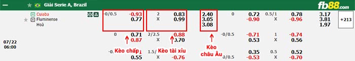 fb88-bảng kèo trận đấu Cuiaba vs Fluminense