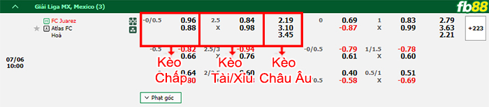 Fb88 bảng kèo trận đấu FC Juarez vs Atlas