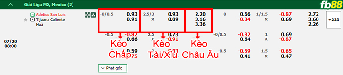 Fb88 bảng kèo trận đấu San Luis vs Club Tijuana