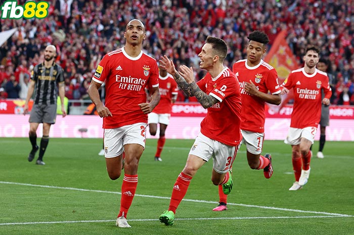Fb88 bảng kèo trận đấu Benfica vs Fulham
