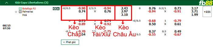 Fb88 bảng kèo trận đấu Botafogo vs Palmeiras