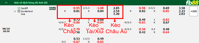 Fb88 bảng kèo trận đấu Cardiff vs Sunderland