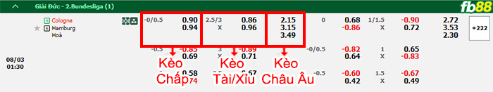 Fb88 bảng kèo trận đấu FC Koln vs Hamburger