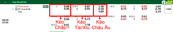Fb88 bảng kèo trận đấu Fluminense vs Juventude