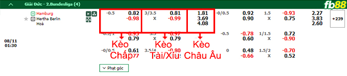 Fb88 bảng kèo trận đấu Hamburger SV vs Hertha Berlin