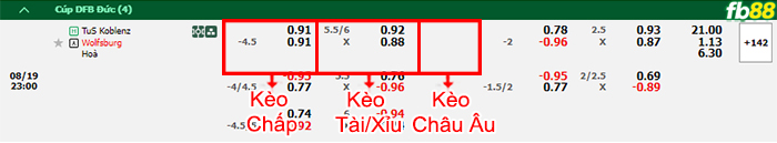 Fb88 bảng kèo trận đấu Koblenz vs Wolfsburg