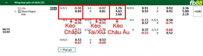 Fb88 bảng kèo trận đấu Lille vs Slavia Praha
