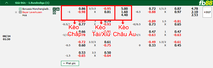 Fb88 bảng kèo trận đấu Monchengladbach vs Leverkusen