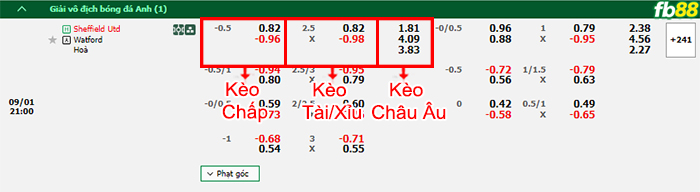 Fb88 bảng kèo trận đấu Sheffield United vs Watford