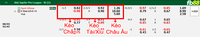 Fb88 bảng kèo trận đấu St. Gilloise vs Beerschot Wilrijk