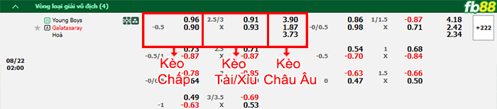 Fb88 bảng kèo trận đấu Young Boys vs Galatasaray