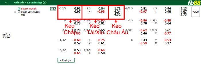 Fb88 bảng kèo trận đấu Bayern Munich vs Leverkusen
