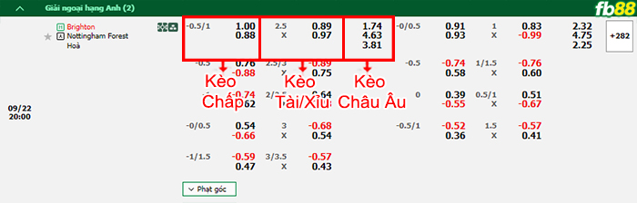Fb88 bảng kèo trận đấu Brighton vs Nottingham Forest