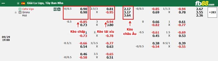 fb88-thông số trận đấu Torino vs Lazio