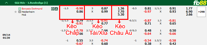 Fb88 bảng kèo trận đấu Dortmund vs Heidenheim
