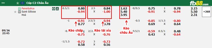 fb88-bảng kèo trận đấu Fenerbahce vs St. Gilloise