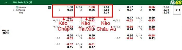 Fb88 bảng kèo trận đấu Hellas Verona vs Torino