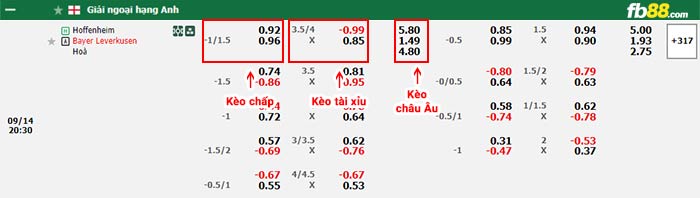 fb88-bảng kèo trận đấu Hoffenheim vs Leverkusen