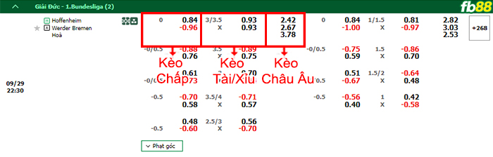 Fb88 bảng kèo trận đấu Hoffenheim vs Werder Bremen