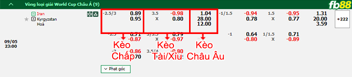 Fb88 bảng kèo trận đấu Iran vs Kyrgyzstan