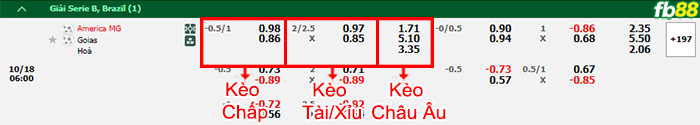 Fb88 bảng kèo trận đấu America MG vs Goias