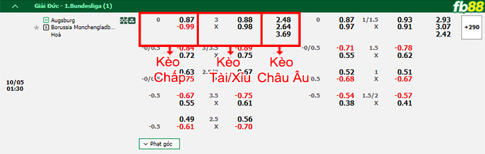 Fb88 bảng kèo trận đấu Augsburg vs Monchengladbach