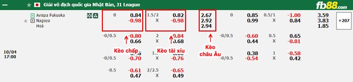 fb88-bảng kèo trận đấu Avispa Fukuoka vs Nagoya Grampus