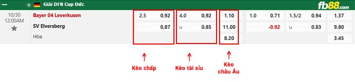 fb88-bảng kèo trận đấu Leverkusen vs Elversberg