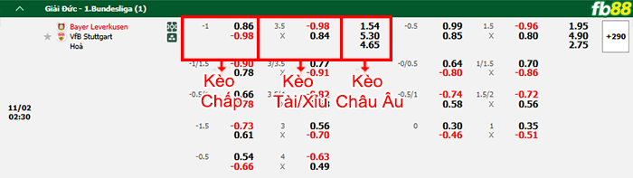 Fb88 bảng kèo trận đấu Leverkusen vs Stuttgart