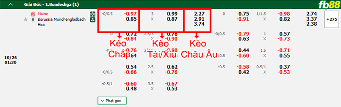 Fb88 bảng kèo trận đấu Mainz vs Monchengladbach