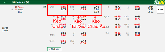 Fb88 bảng kèo trận đấu Torino vs Como