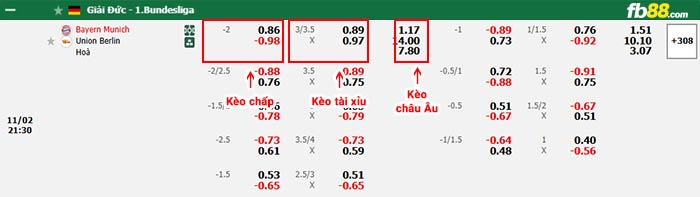 fb88-bảng kèo trận đấu Bayern Munich vs Union Berlin