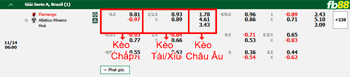 Fb88 bảng kèo trận đấu Flamengo vs Atletico Mineiro