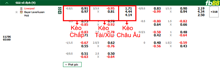 Fb88 bảng kèo trận đấu Liverpool vs Leverkusen