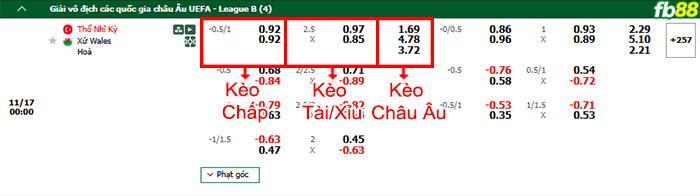 Fb88 bảng kèo trận đấu Thổ Nhĩ Kỳ vs Wales