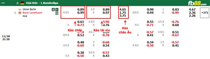 fb88-bảng kèo trận đấu Union Berlin vs Leverkusen