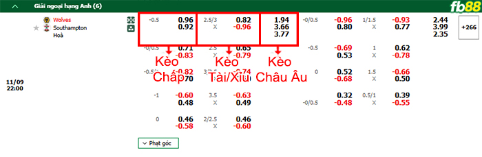 Fb88 bảng kèo trận đấu Wolves vs Southampton