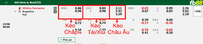 Fb88 bảng kèo trận đấu Atletico Paranaense vs Bragantino