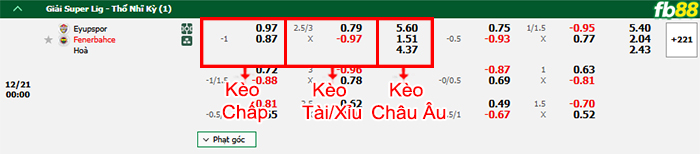 Fb88 bảng kèo trận đấu Eyupspor vs Fenerbahce