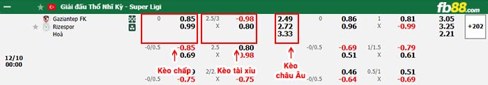 fb88-bảng kèo trận đấu Gazisehir Gaziantep vs Caykur Rizespor
