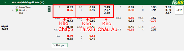Fb88 bảng kèo trận đấu Luton vs Norwich