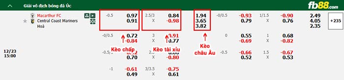 fb88-bảng kèo trận đấu Macarthur vs Central Coast