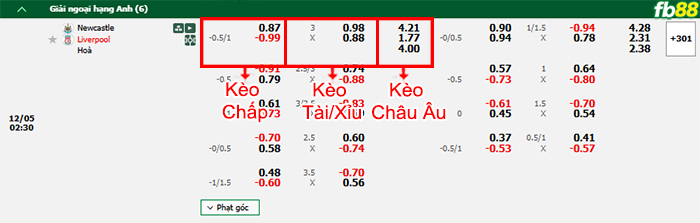 Fb88 bảng kèo trận đấu Newcastle vs Liverpool