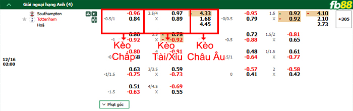 Fb88 bảng kèo trận đấu Southampton vs Tottenham